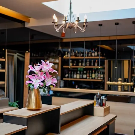 卢森花园城堡酒店 4*