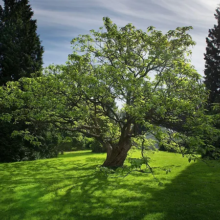 Hotell Chateau Garden Retreat 4*